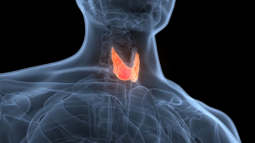 Stress and thyroid health